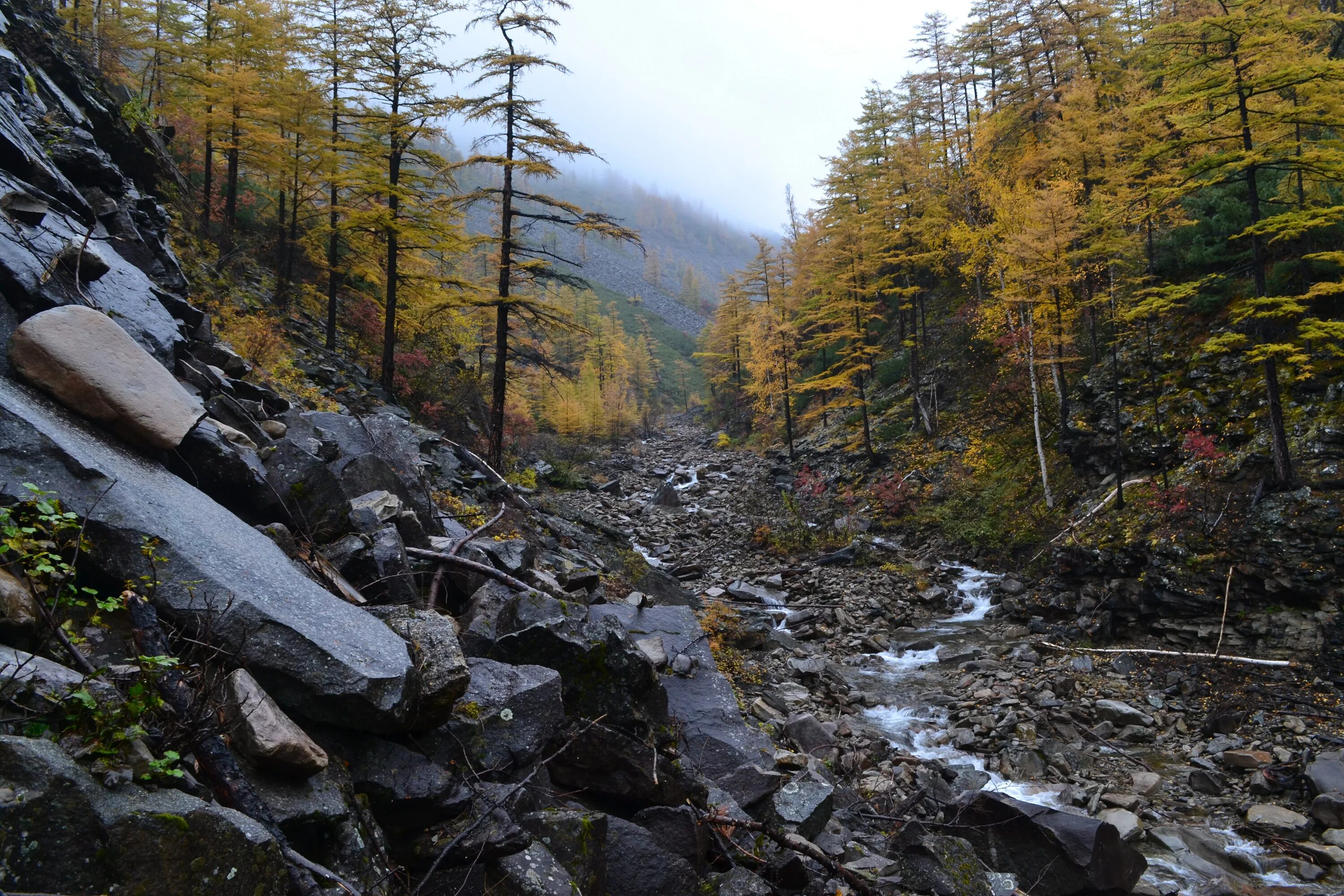 верхоянский хребет. озеро лыбалах якутия верхоянский хребет. горная тундра хребта черского. горы верхоянский хребет. горы хребет черского.
