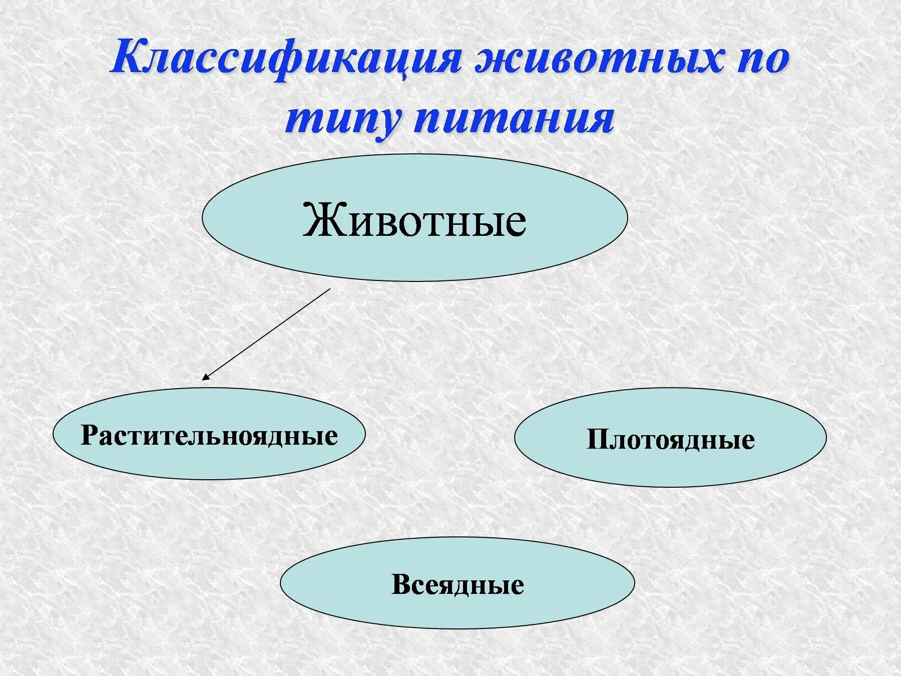 Типы питания животных таблица. Классификация классификация животных по типу питания. животные по типу питания. типы животных по питанию. классов животных по типу питания.