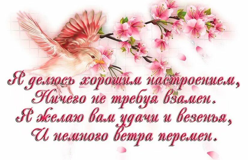 Здоровья и хорошего настроения. Позитивных эмоций и хорошего дня. Открытка с добрым утром с улыбкой. Делюсь хорошим настроением картинки. Открытки я делюсь хорошим настроением и ничего не требую взамен.