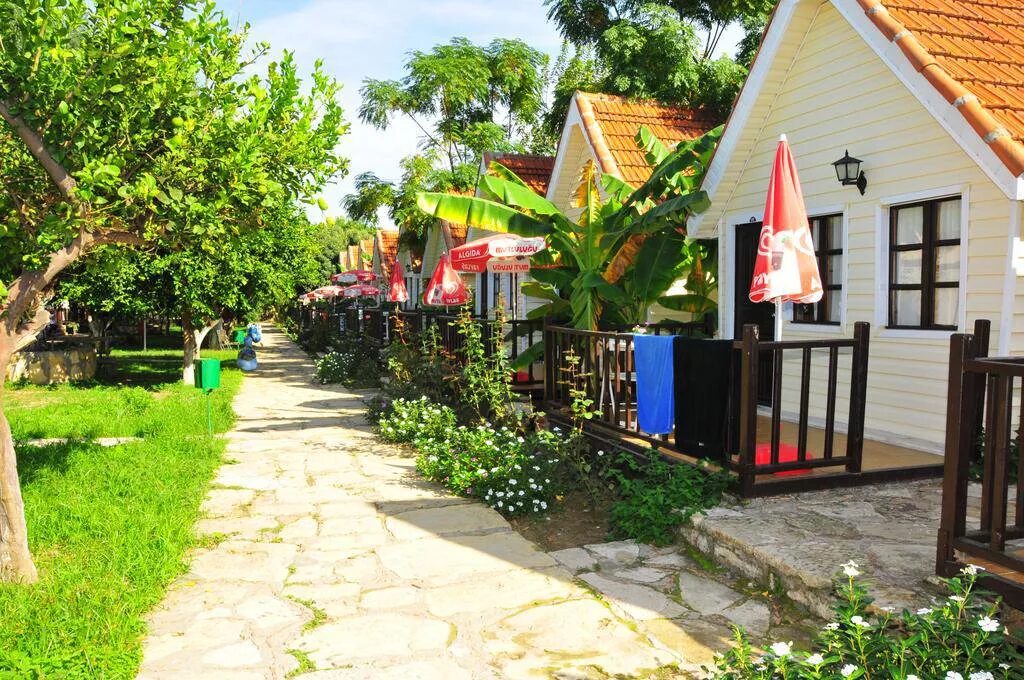 Clover beach. Katya clover 2015. Сиде нова бич. Clover beach. Clover beach.