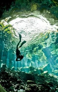 Погруженные в воду