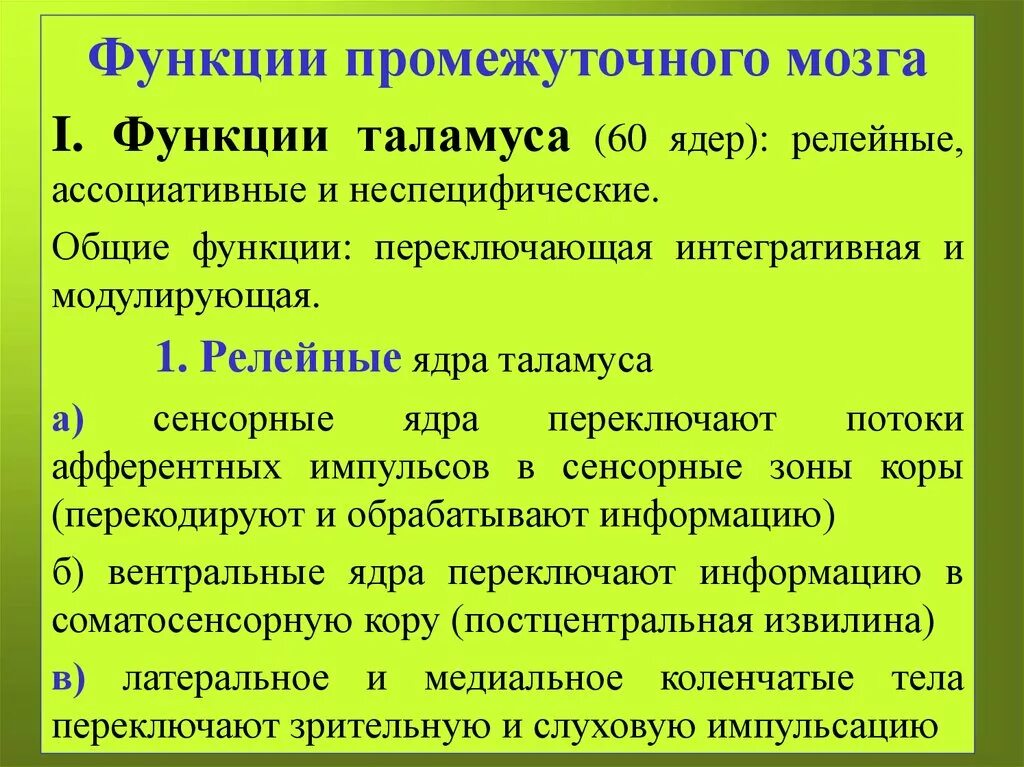 Функция промежуточного мозга дыхание температура тела. Функции основных структур промежуточного мозга. Функции промежуточного мозга кратко. Функции промежуточного МОЗ. Функции промежктосного мозги.