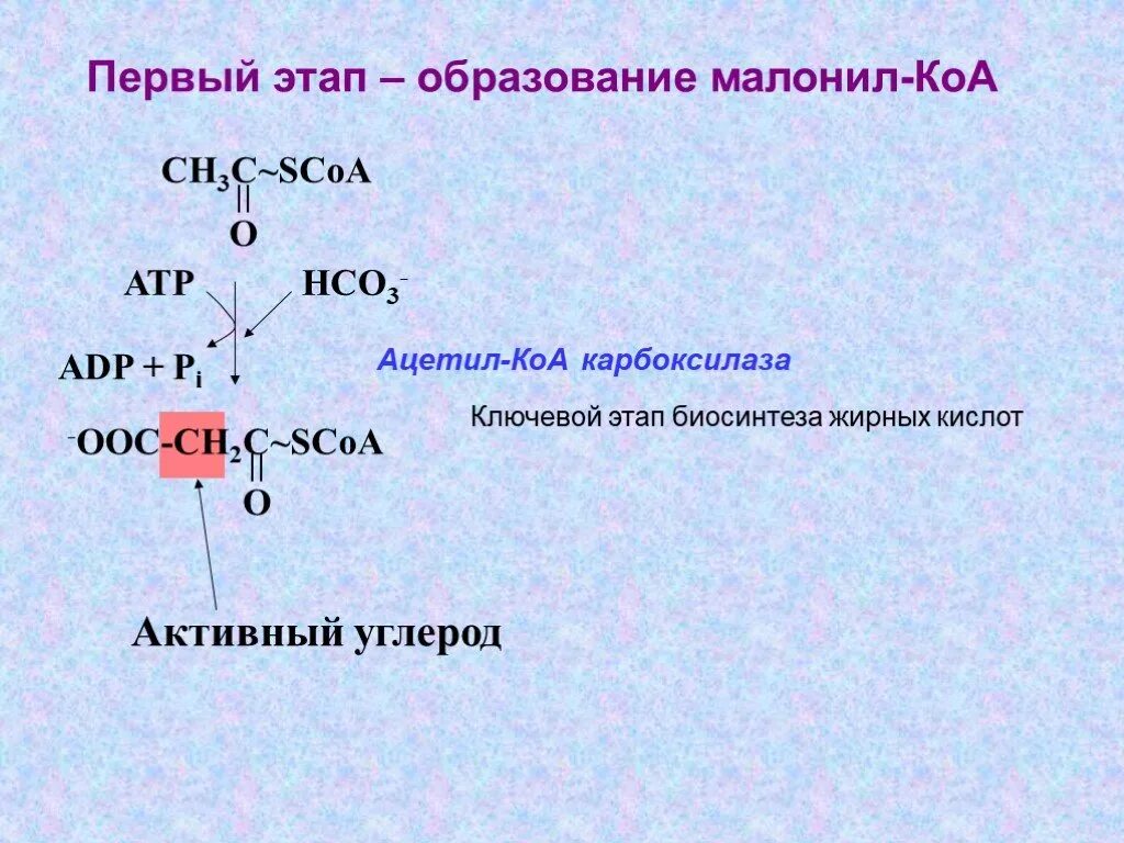 Ацетил коа фермент. Биосинтез жирных кислот малонил КОА. Образование малонил КОА. Реакция образования малонил КОА. Биосинтез ВЖК. Синтез малонил-КОА. Ацетил-КОА- карбоксилаза,.