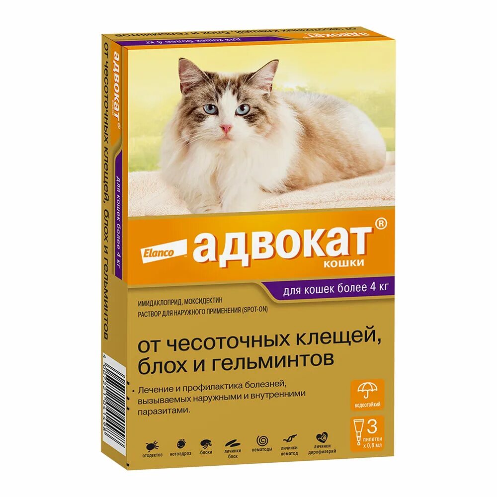 Bayer адвокат для кошек 4-8 кг (1 пипетка, 0,8 мл.). Адвокат (Bayer) капли от чесоточных клещей, блох и гельминтов для щенков и собак до 4 кг (3 пипетки). Адвокат (Bayer) капли от чесоточных клещей, блох и гельминтов для кошек более 4 кг. Капли на холку от блох для кошек. Капли от глистов и клещей для кошек