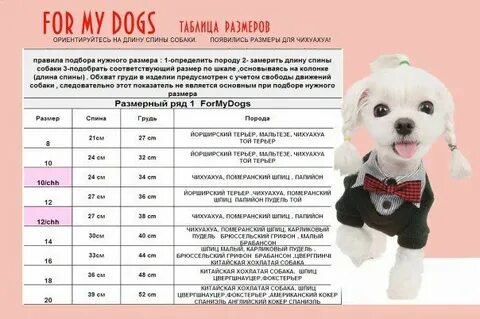 Вес мелких пород собак