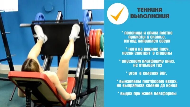 Постановка ног при жиме ногами в тренажере. Жим ногами постановка ног. жим платформы ногами постановка ног. жим платформы ногами широкая постановка ног. жим ногами в тренажере постановка ног.