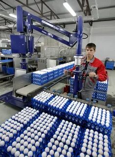 Окская птицефабрика