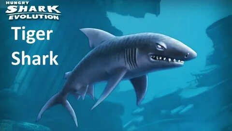 Shark шарк