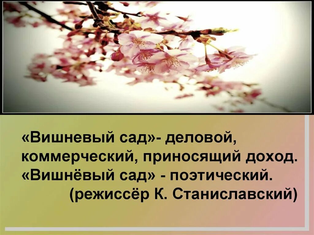 Вишнёвый сад Чехов иллюстрации. Вишневый сад Чехова. Вишневый или вишневый сад. Вишневый сад книга.