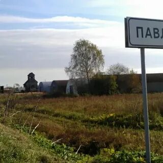 Павловичи московская область