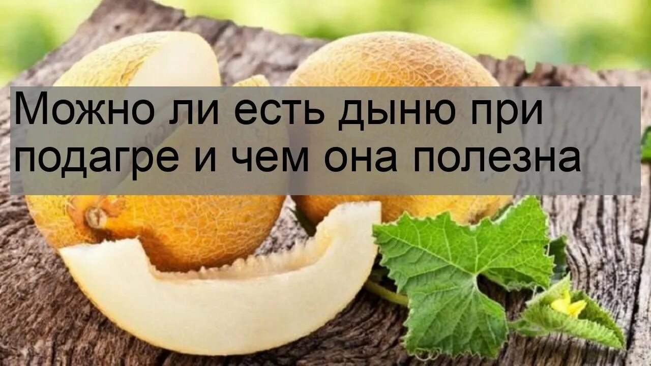 Можно кушать дыню. Можно ли кушать дыню при подагре. при подагре можно есть арбуз и дыню. можно ли дыню при поносе. можно ли есть дыню и яблоки вместе.