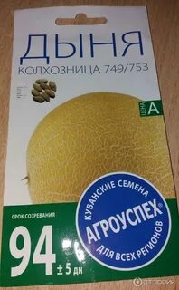 Дыня колхозница отзывы