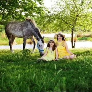 Велес конный