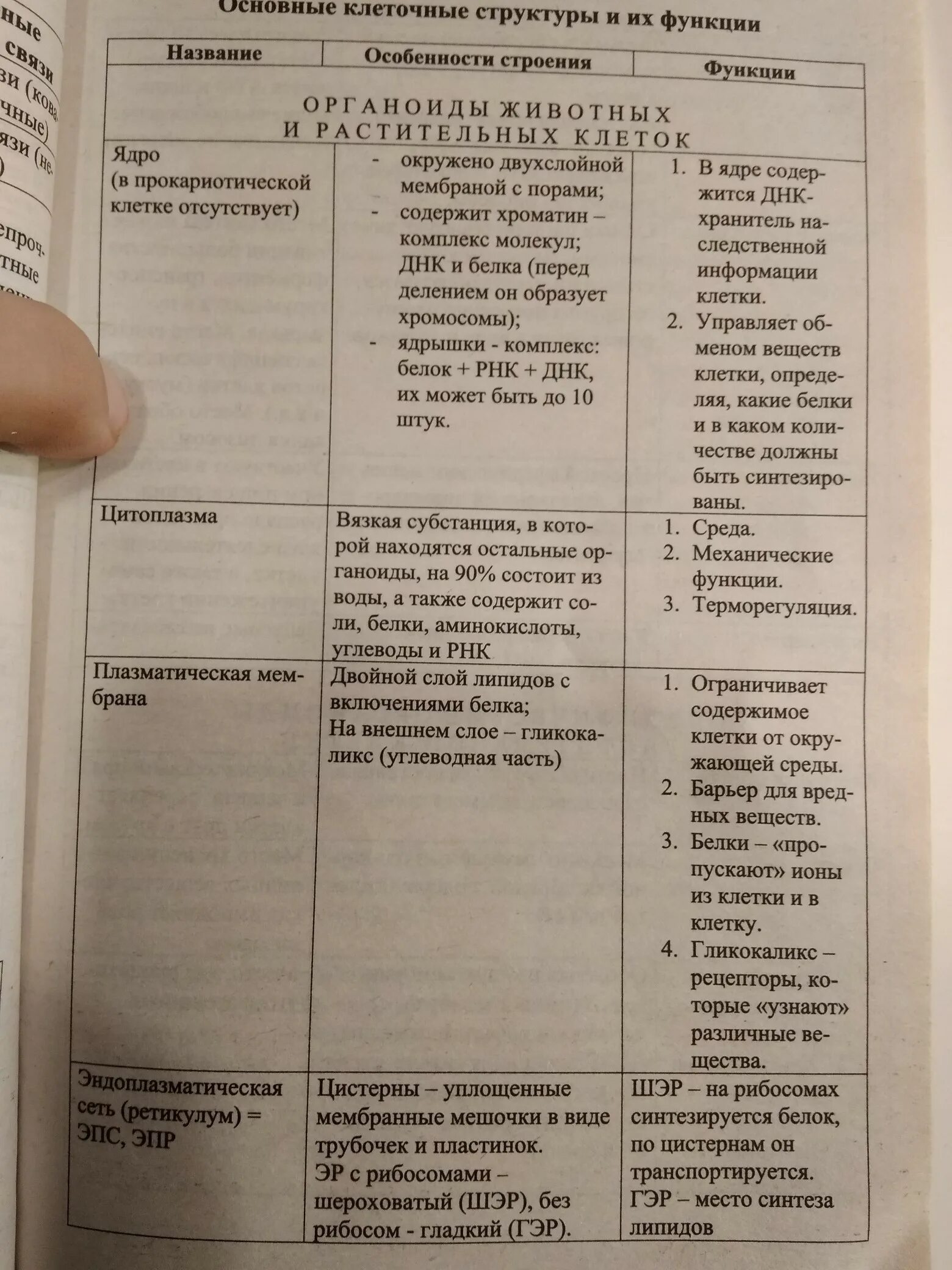 Таблица органоиды клетки и их функции и строение. Органоиды клетки строение и функции таблица 10. Строение и функции органоидов клетки эукариот таблица. Строение клетки структура строение функции таблица. Таблицу органоиды эукариотической клетки