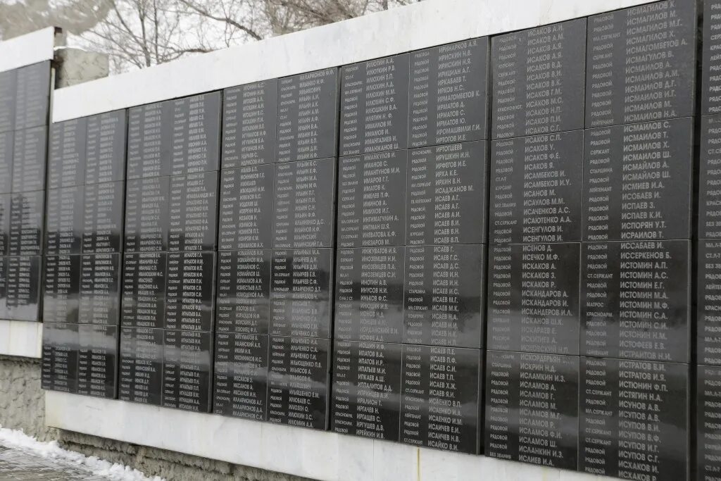 Плита с именами погибших в ВОВ 1941-1945. Мемориал Братская могила 1941-1945. Мемориал с фамилиями погибших в ВОВ. РЖЕВСКИЙ мемориал Братская могила. Пофамильный список погибших в крокусе