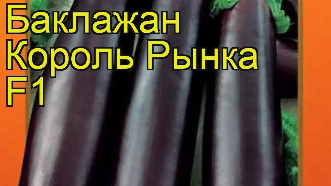 Баклажан "Русский огород" Король рынка F1 35шт - купить в интернет-магазине по н