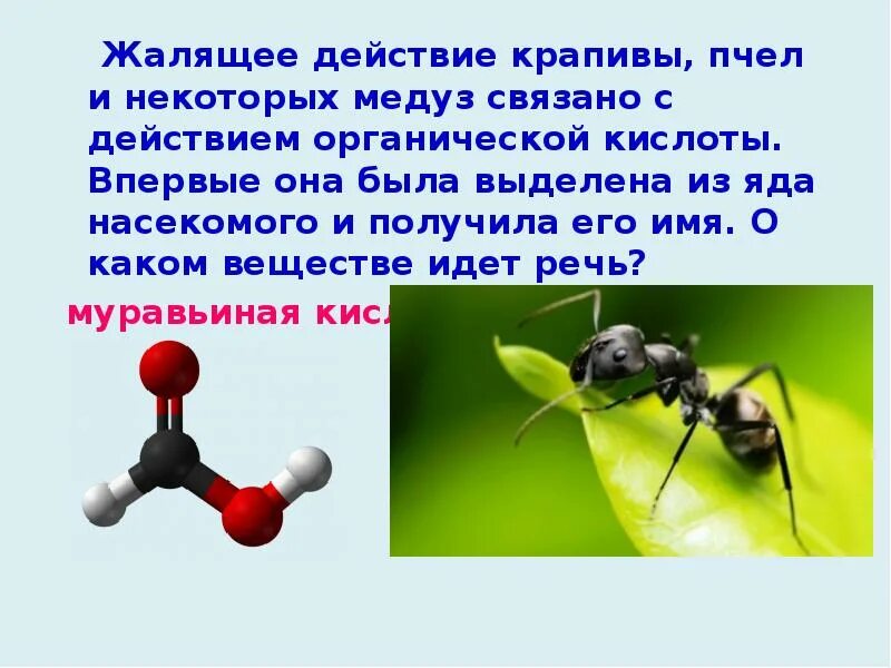 Муравьиный яд и пчелиный. Жалящее действие крапивы какое вещество. Муравей на крапиве. Кислоты в насекомых. Какая кислота в крапиве