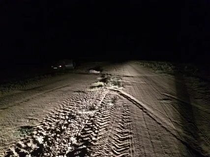 На полевой дороге мне попались навстречу две