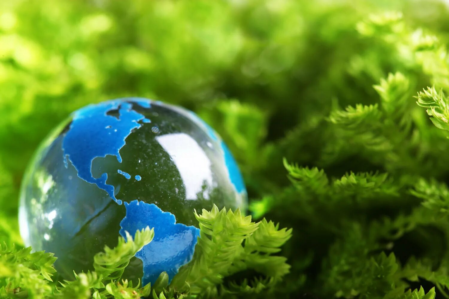 Conference series earth and environmental science