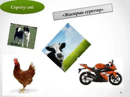 Жасырын фотолар