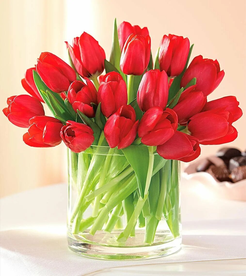Красные тюльпаны красиво. Dome тюльпаны (Tulips) 031003. Тюльпан Будлайт. Шикарные тюльпаны. Тюльпаны в вазе.