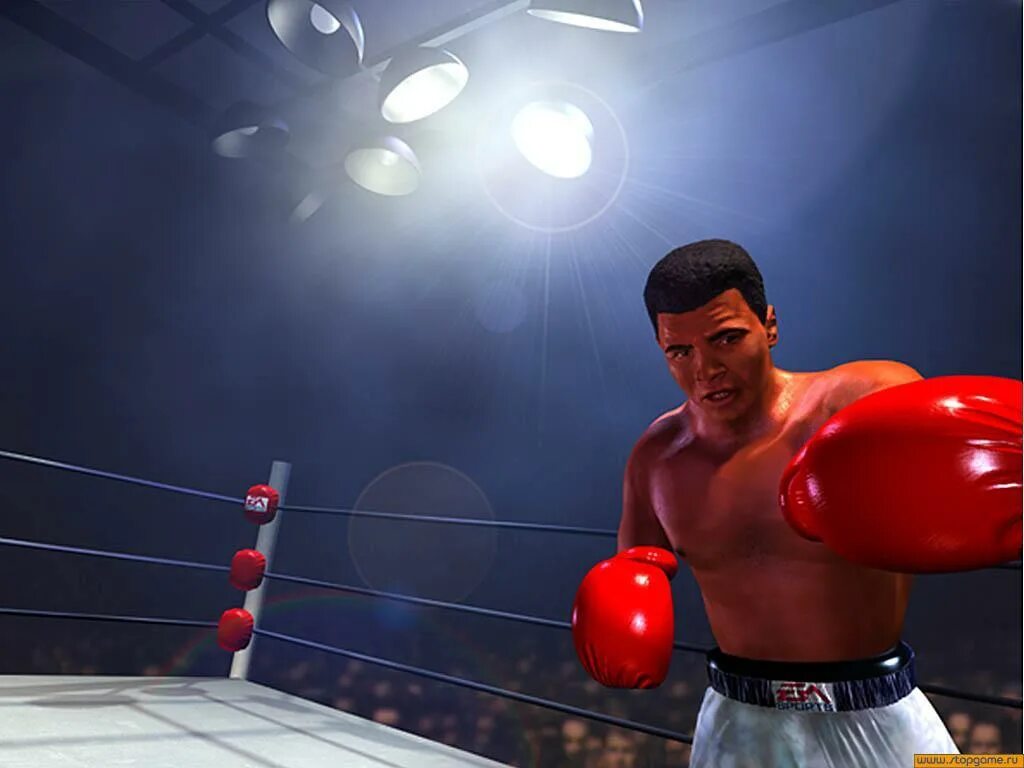 Knockout перевод. Knockout перевод. Рождения мухаммеда али. Майк тайсон на ринге. Флойд мейвезер диего корралес.