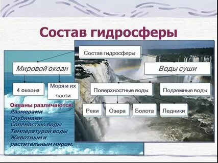 В состав гидросферы входят