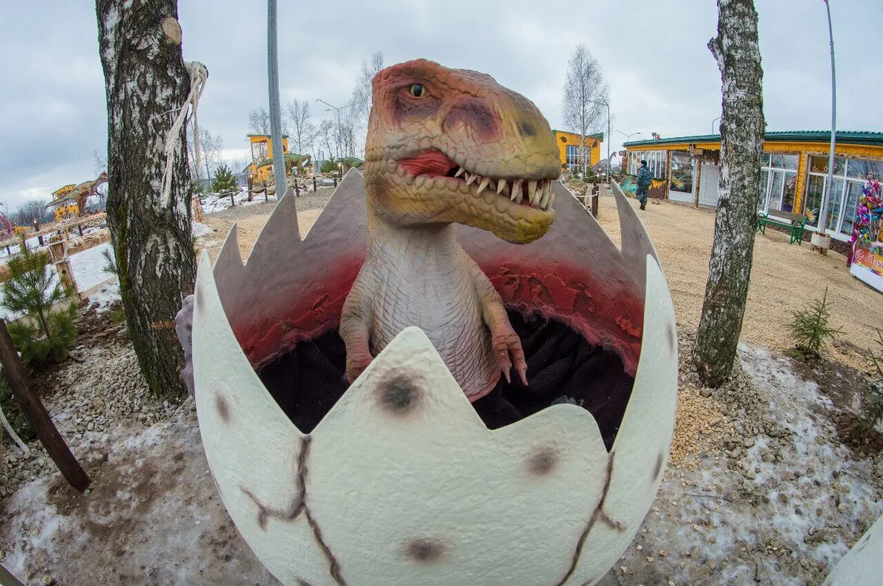 Где находится юрский парк. Парк сказка в крылатском динозавры. Парк юрского периода лос анджелес. Парк динозавров «юркин парк». Парк юрского периода 2 затерянный мир тираннозавр.