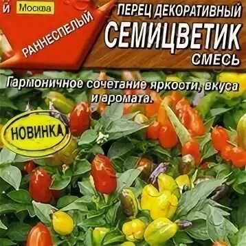 Pepper 18