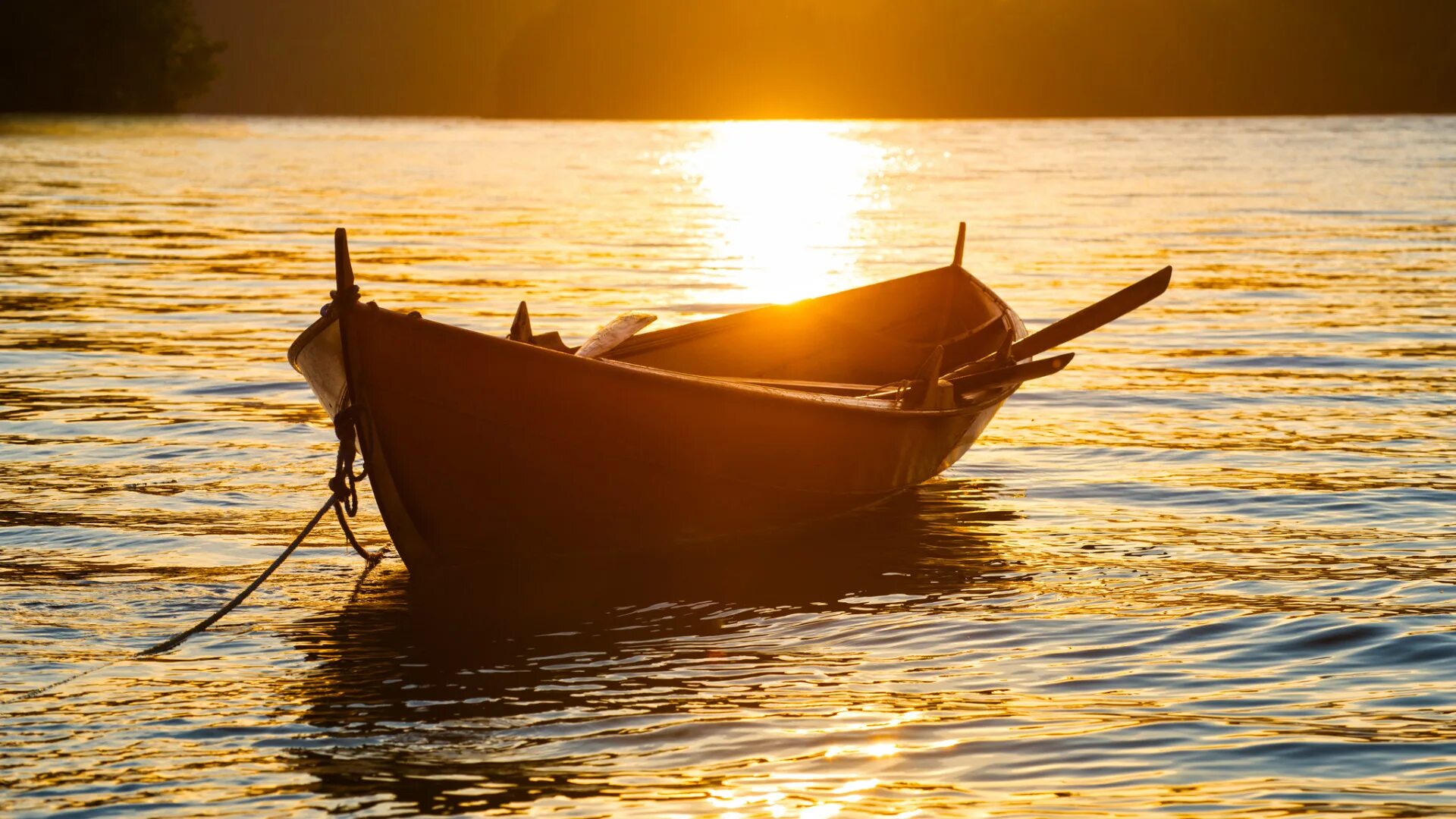 Лодка на реке. Лодка на 2 весла. Лодка плывет. Фотосессия в лодке. Лодка с веслами.