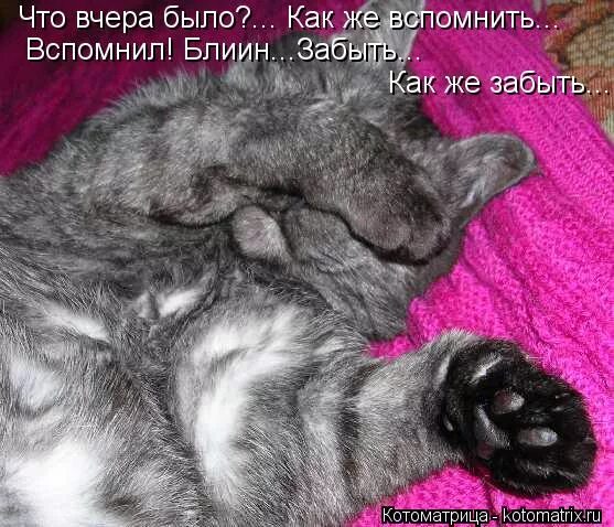 а вдруг они ядовитые что значит вдруг. первый месяц лета прошел. вот и настал тот возраст когда. вчера были большие но по 5. я вчера в лесу три ведра грибов собрал для тещи а вдруг они.