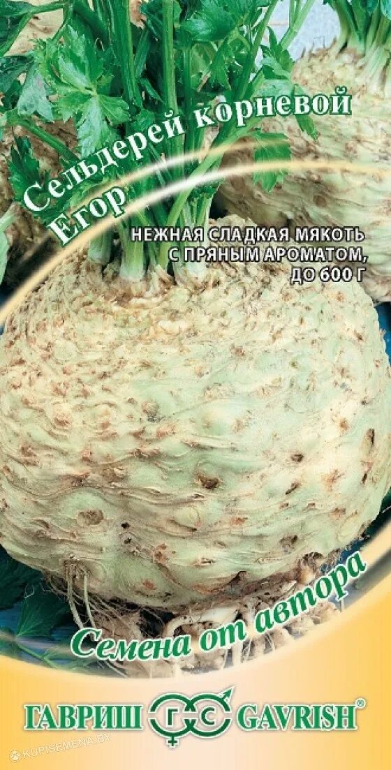 Сельдерей песня лучший в мире овощей текст. Сельдерей корневой семена.