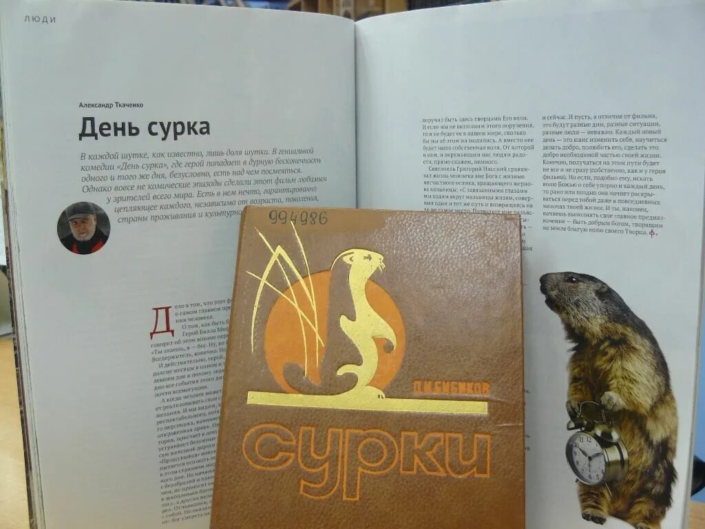 Суть дня сурка. Книги о сурках. День сурка 2020. Книги детям про сурка. День сурка книга.