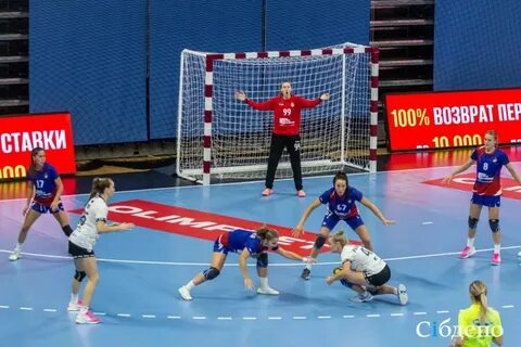 Гандбол высшая лига мужчины 2024 2025