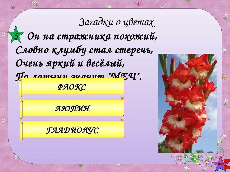 Составить слово из слова цветок. Загадки на тему цветов. Загадки для детей о цветах с ответами. Загадки про цветы для детей. Загадки про цветы для детей с ответами.