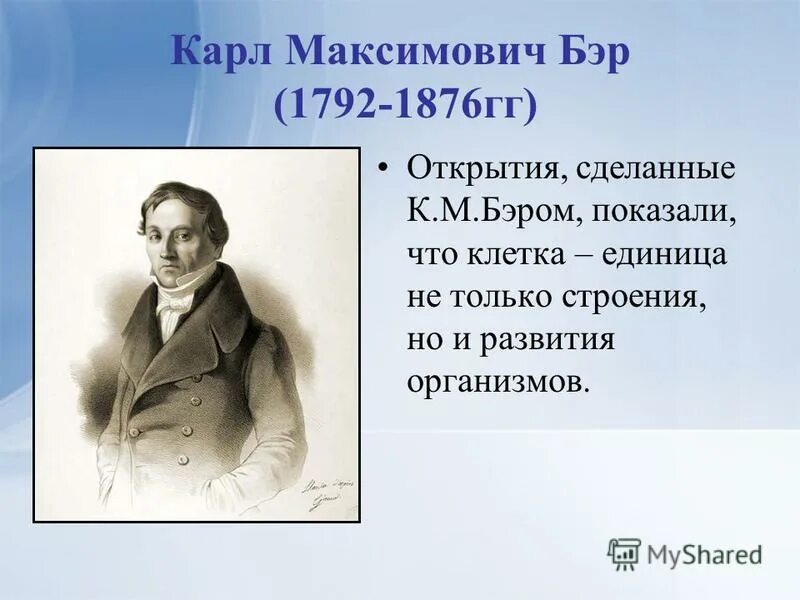 Карл бэр открытие клетки. Какую клетку впервые открыл к бэр. К. Карл бэр открытия клеточной теории. Карл бэр клеточная теория.