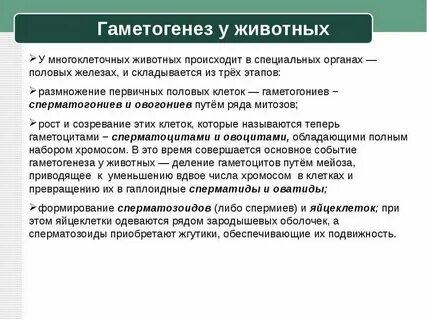 Установите соответствие между признаком гаметогенеза