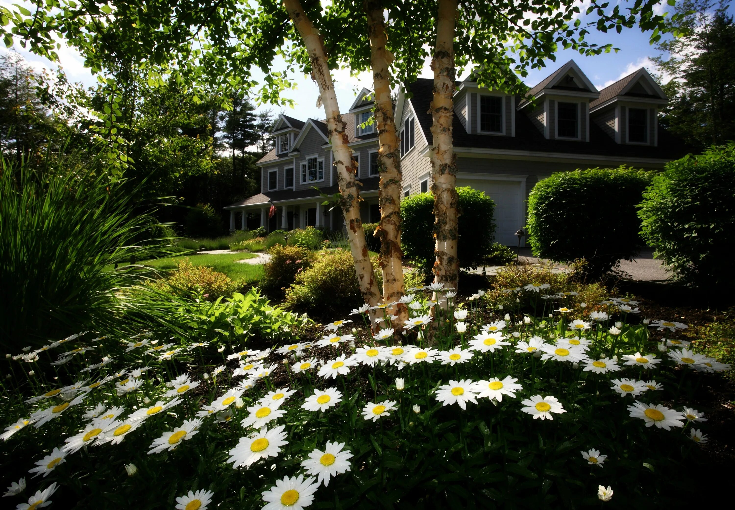 Дом возле садика. Ромашки в ландшафте. Дом в саду. Цветы перед домом. Красивый сад.