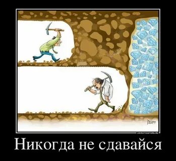 Никогда не ездите