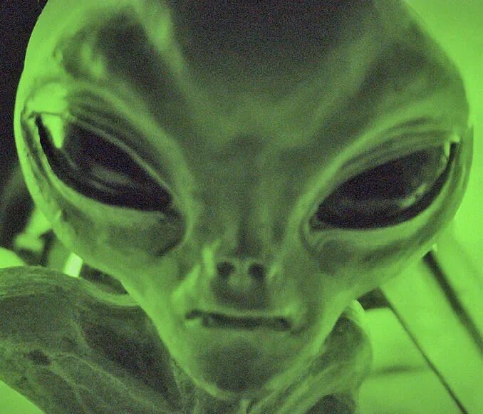It is a alien