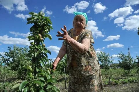 Как прожила свою жизнь баба дуня