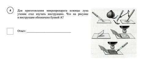 Рассмотрите рисунки укажите все изображения лабораторного оборудования