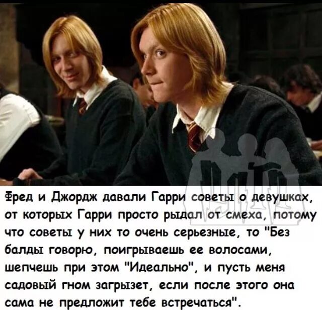 Близнецы уизли фф. Гарри поттер и философский камень фред и джордж. гарри поттер джинни джордж и фред уизли. гарри поттер фред и джордж уизли приколы. гарри поттер фред и джордж приколы.