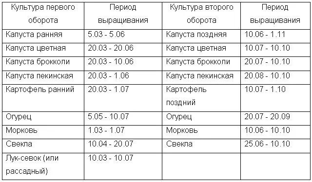 Когда сеять раннюю капусту в 2024 году. Схема посадки капусты в грунт рассадой. Сроки высадки в грунт рассады поздней капусты. Схема посадки ранней капусты в открытый грунт рассадой. Схема посадки цветной капусты в открытый грунт рассадой.