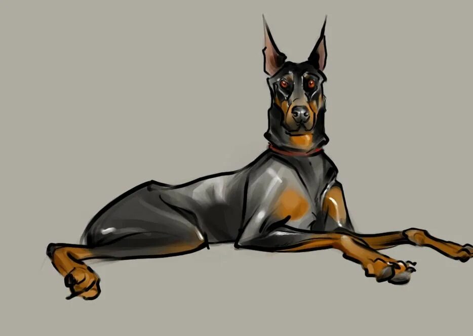 Patreon doberman