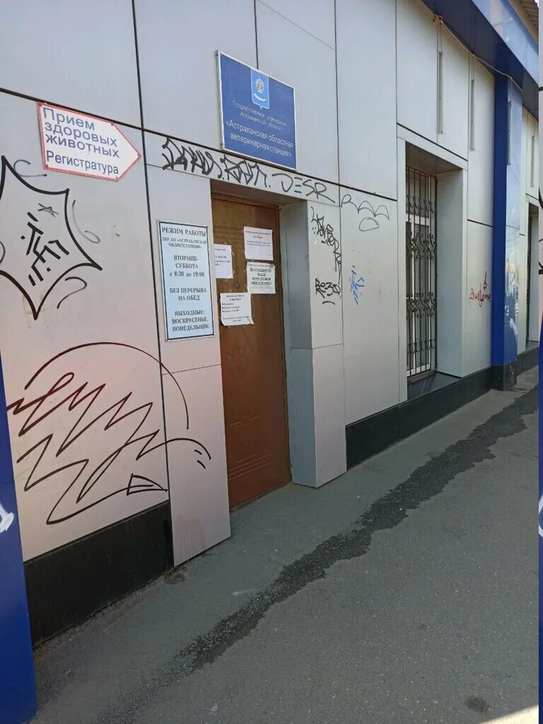 ветлечебница астрахань. барс астрахань ветеринарка. ветлечебница астрахань. ветеринарная клиника астрахань улица победы 54. добролюбова 17 ветеринарная клиника.