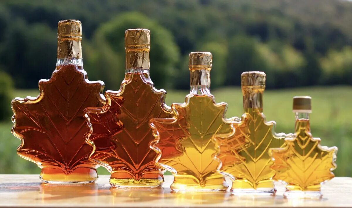 Есть кленовый сироп. Кленовый сироп канада. кленовый сироп maple syrup. сироп канадского клена. кухня канады кленовый сироп.