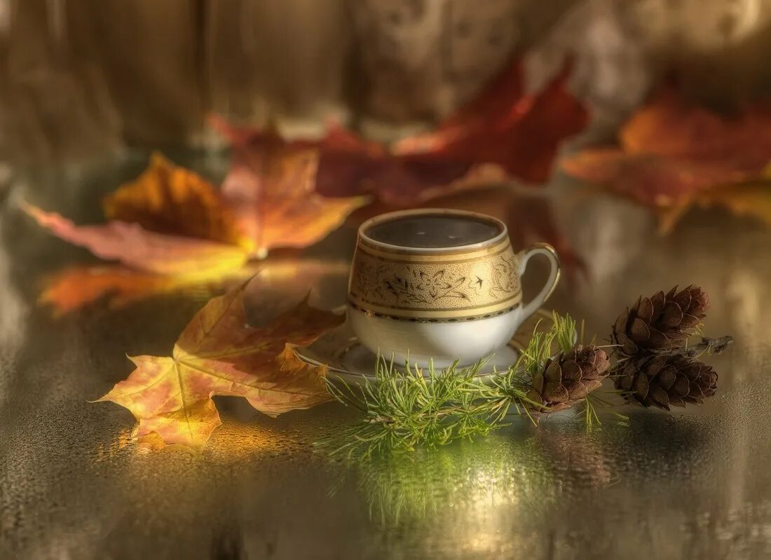 Утро осени картинки. Осенний кофе. Уютного осеннего вечера. Чашка кофе осень. Красивое осеннее утро.