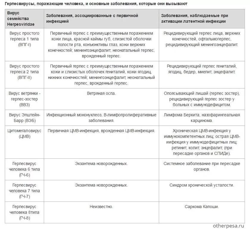 1 2 6 типа вируса. Дифференциальный диагноз герпес опоясывающий лишай. герпес 6 типа классификация. вирус простого герпеса 1 типа диф диагностика. вирус герпеса 3 типа дифференциальная диагностика.
