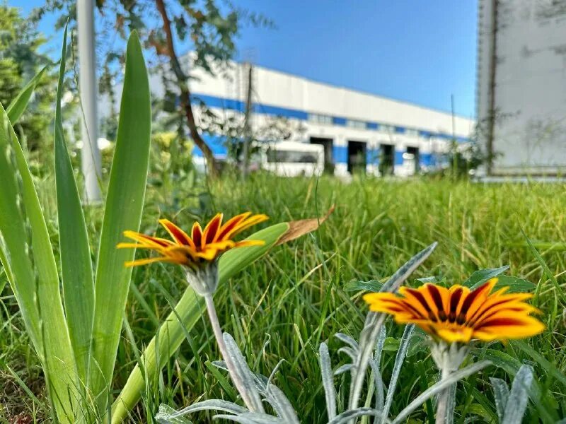 Муниципальные предприятия города сочи. Сочи «водоканал». Директор муп водоканал сочи. Центр занятости сочи островского 37. Заводы в сочи.